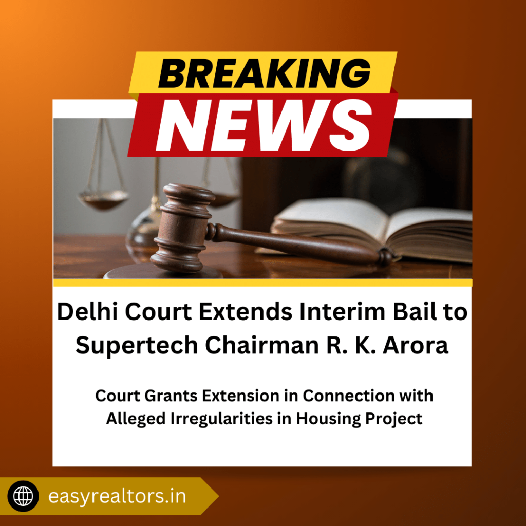 interim bail